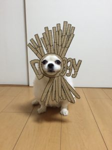 костюм из картона для собаки - бамбук